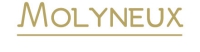 logo MOLYNEUX-optique-val-leyre